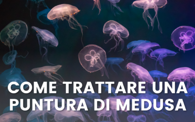 Come Trattare una Puntura di Medusa